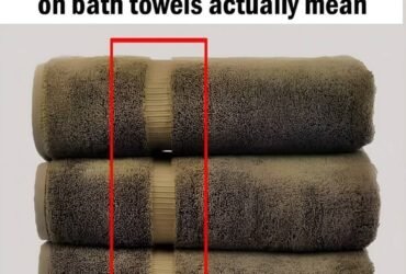 630361865 893034430258270 7629580814460539801 n