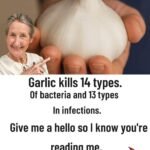 630615234 2288627918335250 198403999664260661 n