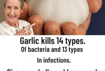 630615234 2288627918335250 198403999664260661 n