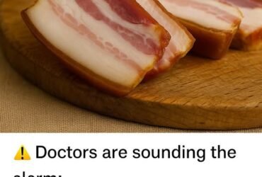 630645833 1557461482155474 4757128780697365229 n