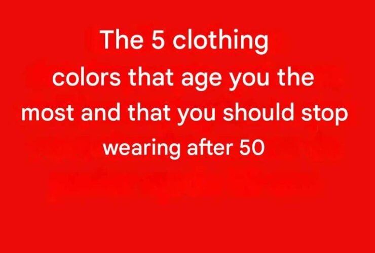 630801851 919259717724727 3046430894756633697 n