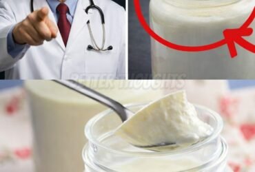 631735942 122118383031083341 8048675004757817567 n