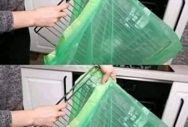 631740804 794277507022651 2763097347011335728 n