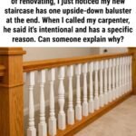 642498356 949599737405041 4993486735911187098 n