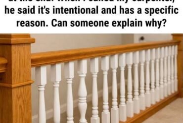 642498356 949599737405041 4993486735911187098 n