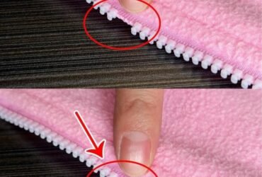 FB IMG 1764143113184 768x960 1