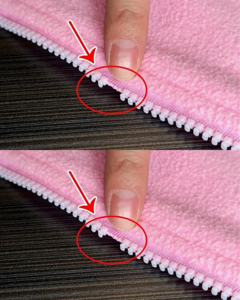 FB IMG 1764143113184 768x960 1