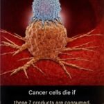 Screenshot 20260227 002120 Google