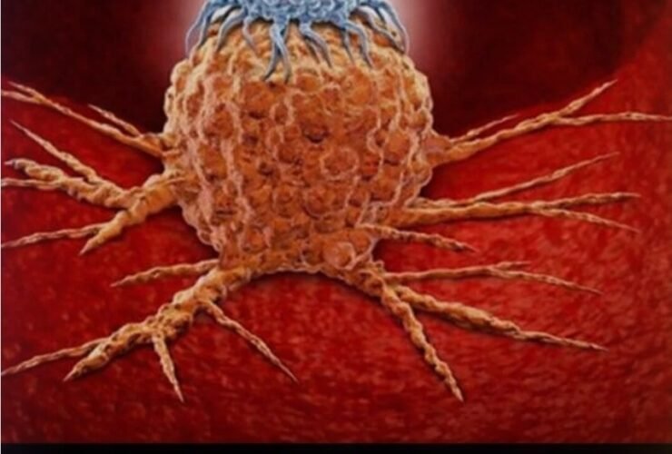 Screenshot 20260227 002120 Google