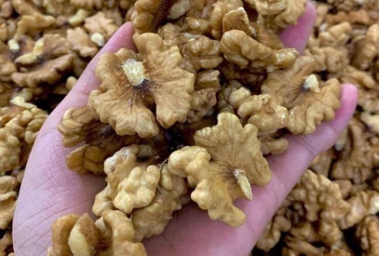 WhatsApp Image 2025 12 20 at 23.46.14