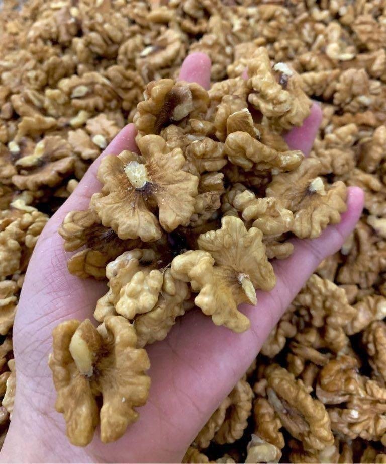 WhatsApp Image 2025 12 20 at 23.46.14