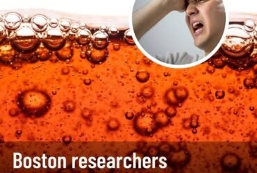 WhatsApp Image 2025 12 20 at 23.48.21