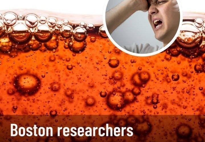 WhatsApp Image 2025 12 20 at 23.48.21