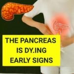 WhatsApp Image 2025 12 20 at 23.51.30