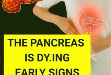 WhatsApp Image 2025 12 20 at 23.51.30