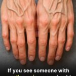 WhatsApp Image 2025 12 21 at 12.05.24