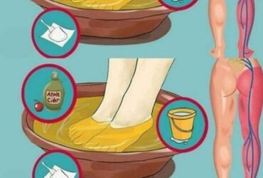 WhatsApp Image 2025 12 21 at 12.12.11