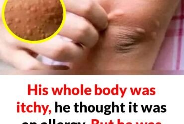 WhatsApp Image 2025 12 21 at 12.13.34