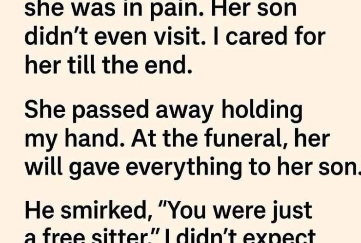 WhatsApp Image 2025 12 21 at 12.14.49