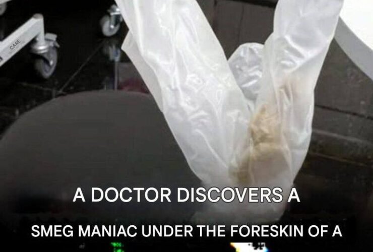 WhatsApp Image 2025 12 21 at 12.16.06