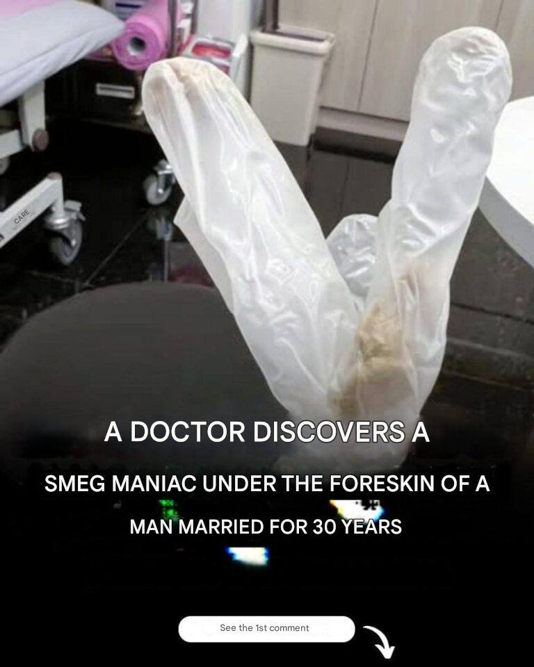 WhatsApp Image 2025 12 21 at 12.16.06