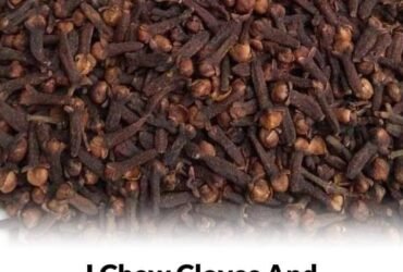 WhatsApp Image 2025 12 21 at 12.19.41