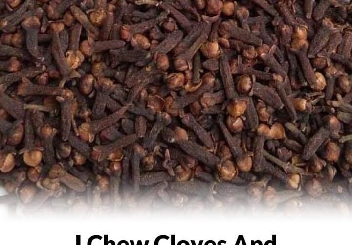 WhatsApp Image 2025 12 21 at 12.19.41