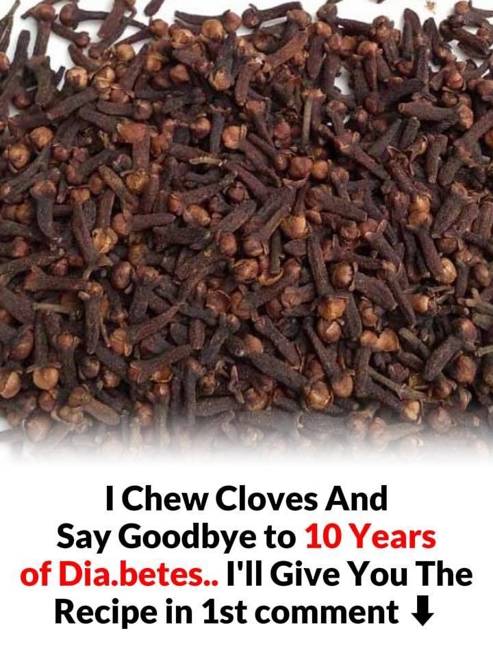 WhatsApp Image 2025 12 21 at 12.19.41