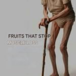 WhatsApp Image 2026 01 09 at 23.59.30