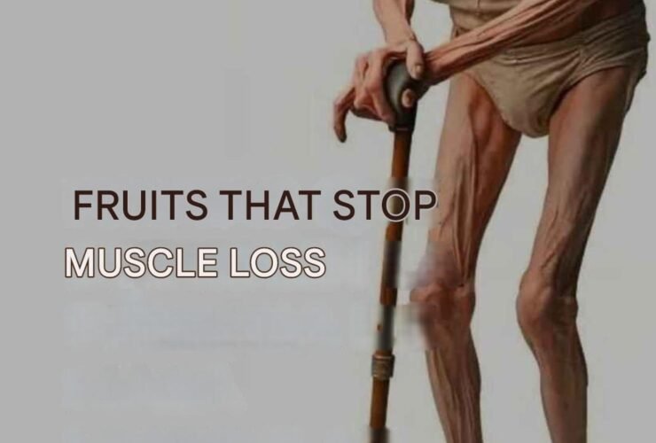 WhatsApp Image 2026 01 09 at 23.59.30