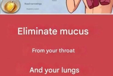 WhatsApp Image 2026 01 21 at 17.17.14