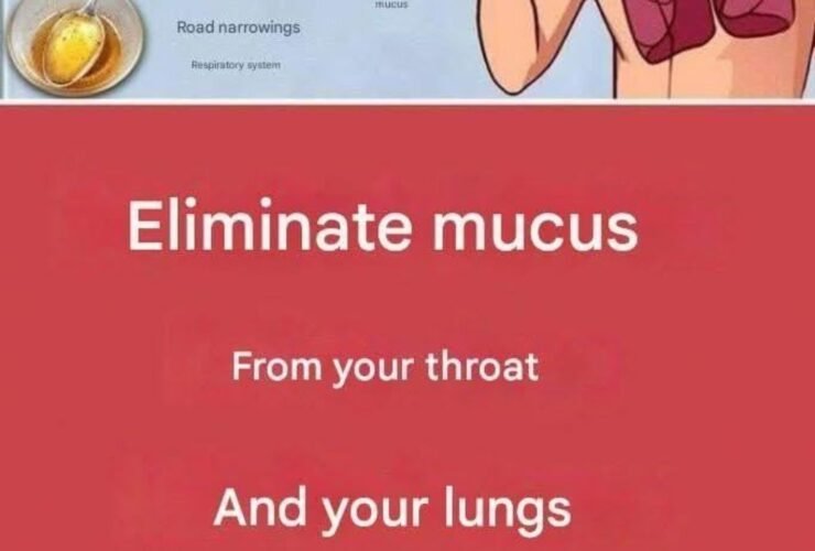 WhatsApp Image 2026 01 21 at 17.17.14