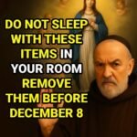 WhatsApp Image 2026 01 21 at 20.34.40