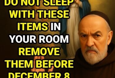 WhatsApp Image 2026 01 21 at 20.34.40