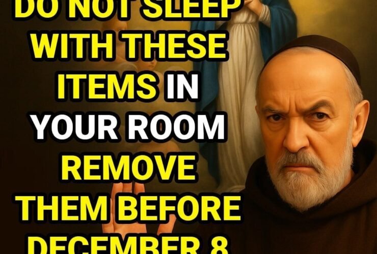 WhatsApp Image 2026 01 21 at 20.34.40