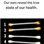 WhatsApp Image 2026 01 29 at 16.11.45