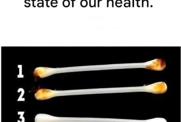 WhatsApp Image 2026 01 29 at 16.11.45