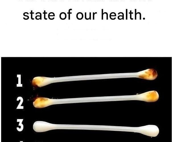 WhatsApp Image 2026 01 29 at 16.11.45