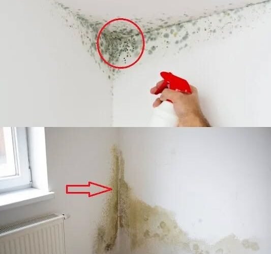 WhatsApp Image 2026 01 29 at 16.14.39 2