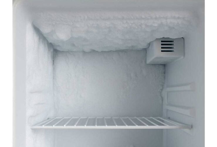 WhatsApp Image 2026 02 05 at 23.07.25