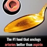 WhatsApp Image 2026 02 05 at 23.23.51