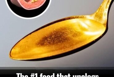 WhatsApp Image 2026 02 05 at 23.23.51