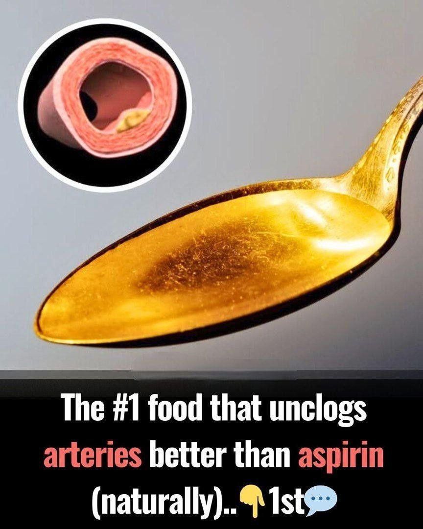 WhatsApp Image 2026 02 05 at 23.23.51