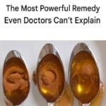 WhatsApp Image 2026 02 05 at 23.27.43