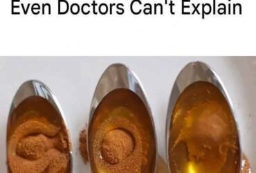 WhatsApp Image 2026 02 05 at 23.27.43