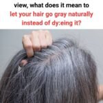 WhatsApp Image 2026 02 05 at 23.32.27