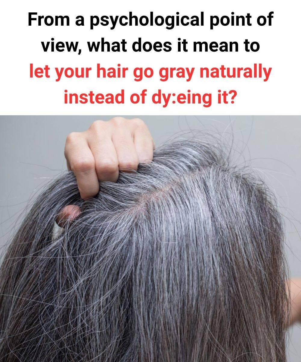 WhatsApp Image 2026 02 05 at 23.32.27