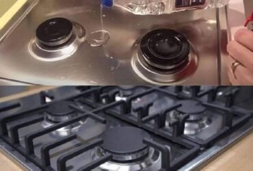 WhatsApp Image 2026 02 06 at 15.54.49