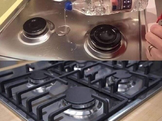 WhatsApp Image 2026 02 06 at 15.54.49