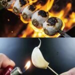 WhatsApp Image 2026 02 06 at 17.27.26